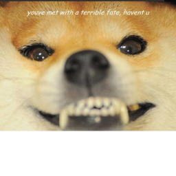 The Doge (horror game)