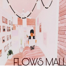 Flow Inc. HOMESTORE