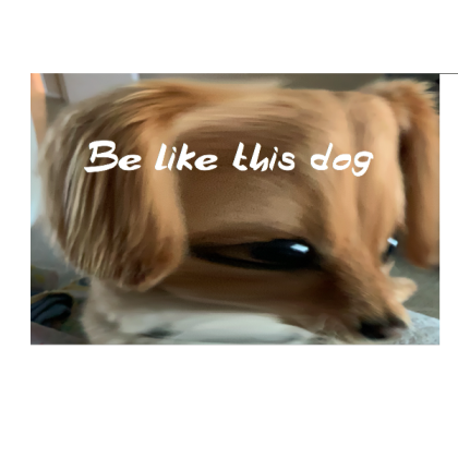 Funny Picture of my Dog Roblox decal