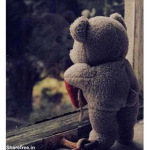 Lon3ly Bears