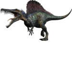 The Spino's Order