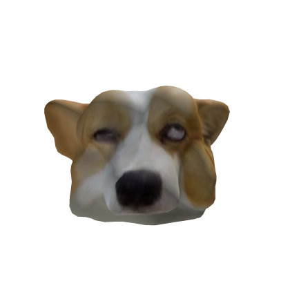 Irritated Corgi Roblox item