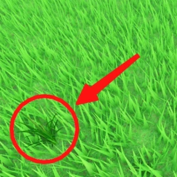 Be Grass icon