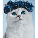 ~Diamond Cat Studio~