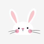 Bunnxy Studios
