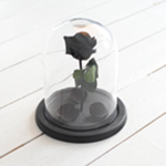 Black_Roses
