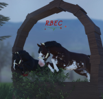 Rose <|> Berry <|> Equestrian <|> Center