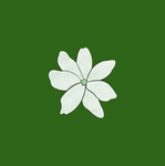 The White Jasmine Order