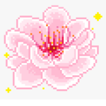 ~ Prixrose Boutique ~