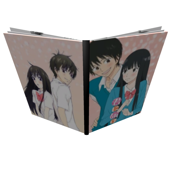Sawako and Kazehaya KIMI NI TODOKE | Manga Book 