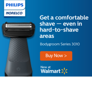 bloxburg (free version)