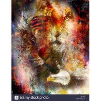 Girlydreams6's Place