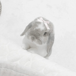 ⋆ ୨ৎ ˚✧. •