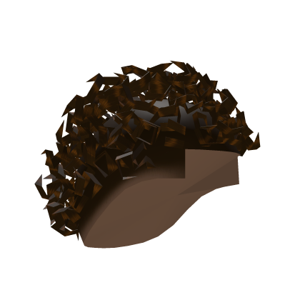 Brown Curly Cool Boy Afro Roblox item
