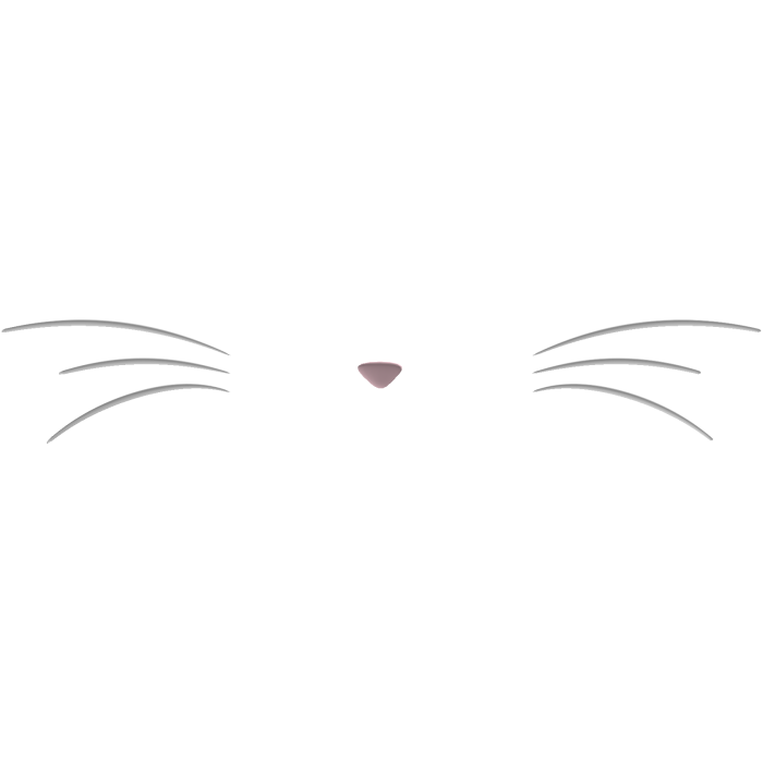 cute white bunny / cat whiskers 