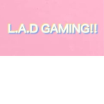 L.A.D Gaming