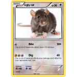 A family of Rats