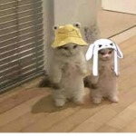 Aress&Noe's Gangg