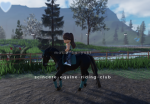 sincere - equine - riding - club