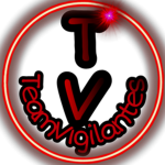 TeamVigilantes