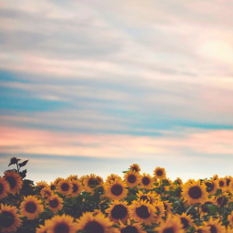 𝒲𝓇𝑜𝓃𝑔.