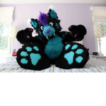 Paw Appreciation Club