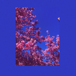 c l o t h i n g 4 u