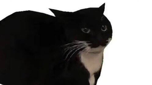 Medium Obby