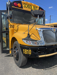 YELLOWBIRD transportation
