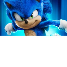sonic simulator