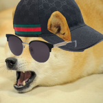 Gucci doge