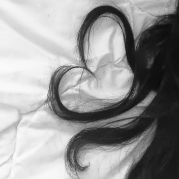 ── .✦