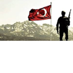 BordoBereliler