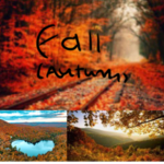 Autumn fans!
