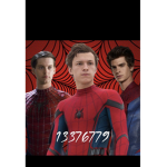 Spider Man Group_.