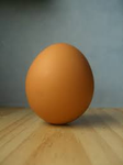 The Egg Army (real)