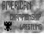 ACW (American Championship Wrestling) @2013