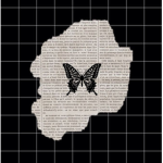 Vane's butterflies