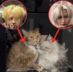 FluffyXClouds