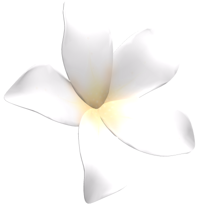 White Tropical Flower