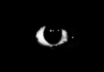 The demon lord