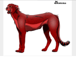 The red ######## soccer team