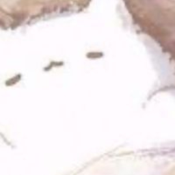 ᓚᘏᗢ