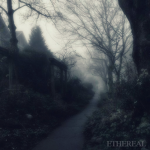 Ethereal 水