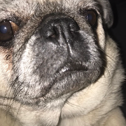 Donate To Wobbles