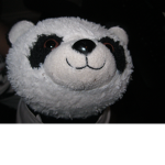 pandy loves bamboo group