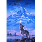 Josh_spirit