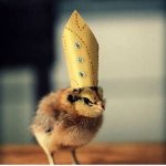 chickie group :)