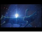 StarClan Warriors Roleplay