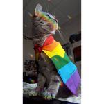 ||-LGBTQ+-||